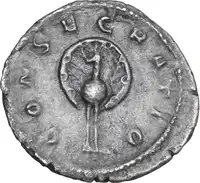 Reverse image
