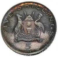 img-1