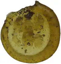 img-0