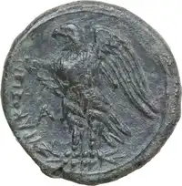 Reverse image