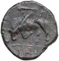 Reverse image