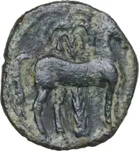 Reverse image