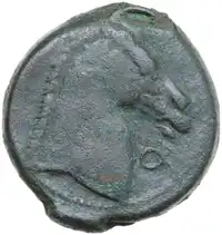 Reverse image