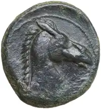 Reverse image