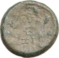 Reverse image