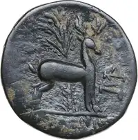 Reverse image