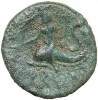 Reverse image