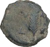 Reverse image