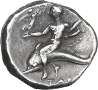 Reverse image