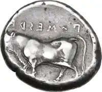 Reverse image