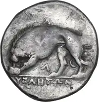 Reverse image