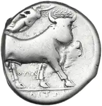 Reverse image