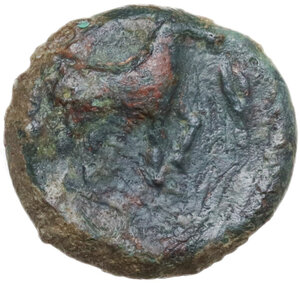 reverse: Nakona. AE 12 mm, 330-310 BC