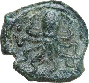reverse: Syracuse.  Second Democracy (466-405 BC).. AE Onkia, c. 435-410 BC