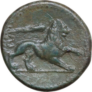 reverse: Syracuse.  Agathokles (317-289 BC).. AE 23 mm