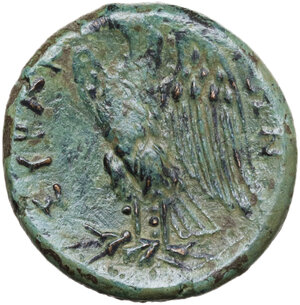 reverse: Syracuse. AE 22 mm, c. 287-278 BC. Struck under Hiketas