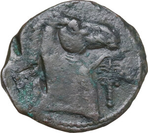 reverse: AE 20 mm, 300-264 BC
