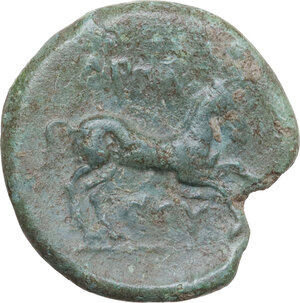 reverse: Northern Apulia, Arpi. AE 23 mm, 275-250 BC