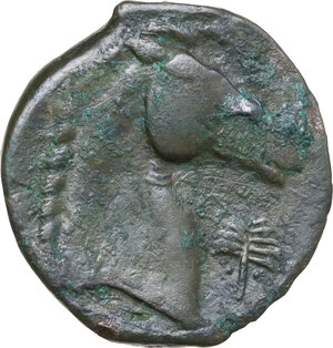 reverse: AE 19 mm. c. 300-264 BC. Uncertain mint
