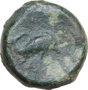 obverse: Northern Apulia, Salapia. AE 15 mm, 275-250 BC