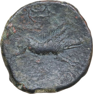 reverse: Northern Apulia, Salapia. AE 21 mm, 225-210 BC