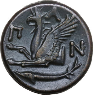 reverse: Cimmerian Bosporos, Pantikapaion. AE 21.5 mm, c. 310-304/3 BC