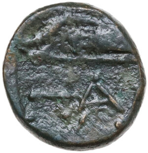 reverse: Cimmerian Bosporos, Pantikapaion. AE 11mm, 200-150 BC
