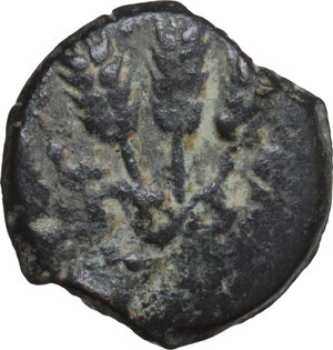 reverse: Judaea.  Agrippa I (37-44).. AE Prutah, year 6 (41/42). Jerusalem mint