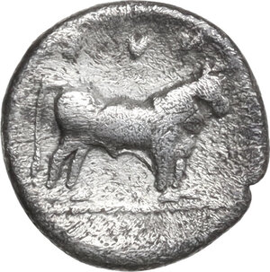 reverse: Lucania, Poseidonia-Paestum. AR Diobol, 445-420 BC