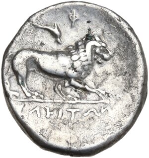reverse: Northern Lucania, Velia. AR Didrachm, c. 300-280 BC