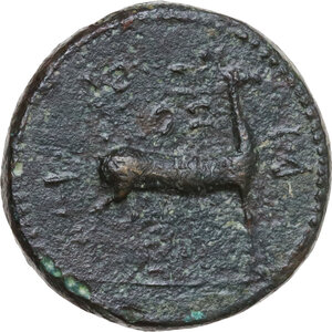 reverse: Claudius (41-54) with Agrippina II.. AE 19 mm, Ephesus mint (Ionia)