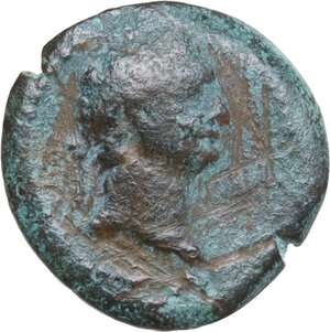 obverse: Domitian (81-96).. AE 15 mm, Alexandria mint (Egypt), dated RY 13 (93-94)