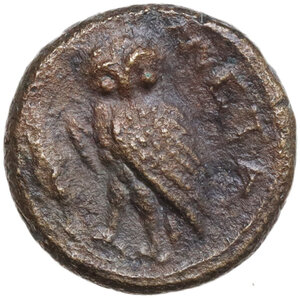 reverse: Southern Lucania, Metapontum. AE 14 mm, 250-207 BC