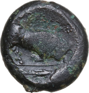 reverse: Southern Lucania, Thurium. AE Diobol, c. 325-300 BC