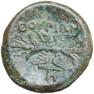 reverse: Southern Lucania, Thurium. AE 15 mm, 280-213 BC