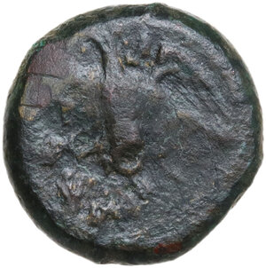 reverse: Ameselon. AE 15 mm., c. 340-330 BC. Mercenary coinage associated with Ameselon