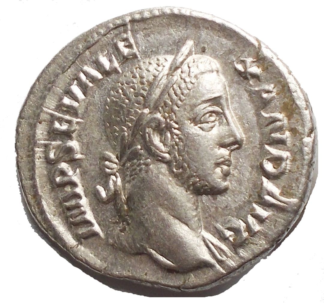 Immagine aggiuntiva 1