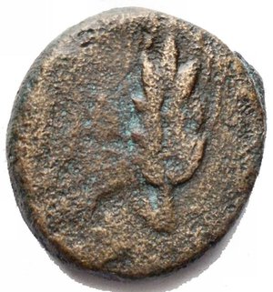 reverse: Greek Northern Apulia, Ausculum, c. 300-275 BC. Æ (19,5 mm. 7,01 g). Boar charging r. spear-head above. R/ Barley-ear. HNItaly 653. Very Rare, near VF