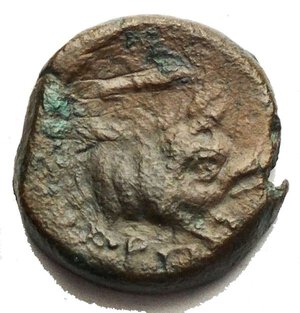 obverse: APULIA, Arpi. Circa 325-275 BC. Æ 15mm. 3,24 gm. Laureate head of Zeus left; thunderbolt behind / Forepart of boar right, spear above. SNG France 1240; SNG ANS -; HN Italy 643. Good VF