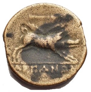 reverse: Apulia Arpi (Circa 325-250 a.C.) AE 22,03 mm. D/ testa di Zeus a sinistra. R/ Cinghiale a destra, sopra lancia. 6.9 gr. HN Italy 642. BB+/BB