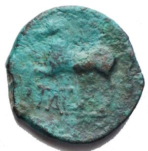 reverse: Apulia Arpi (Circa 325-275 a.C.) AE 16,13 mm. D/ Testa di Zeus a sinistra. R/ Cavallo al galoppo a sinistra. 2,83 gr. BB+/BB