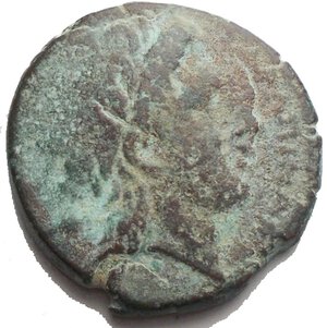 obverse: Italy. Apulia, Salapia. AE 22,05 x 22,4 mm. 7,35g.  circa 225-210 BC.