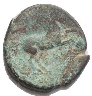 reverse: Italy. Apulia, Salapia. AE 22,05 x 22,4 mm. 7,35g.  circa 225-210 BC.