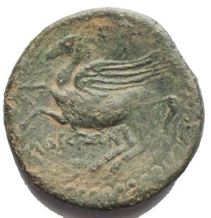 reverse: BRUTTIUM, Lokroi Epizephyrioi. temp. Pyrrhos of Epeiros. Circa 281-272 BC. Æ (24.05 mm, 7.74 g). Helmeted head of Athena right / Pegasos flying left. VF. Green patina
