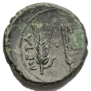 reverse: METAPONT. AE-17.6mm. 3rd century BC Chr. Head of Demeter with wreath of corn r. Rev: META; 2 ears of corn, dot in between. SNG COP. 1257. SNG Munich -. SNG ANS 600. Green patina. EF