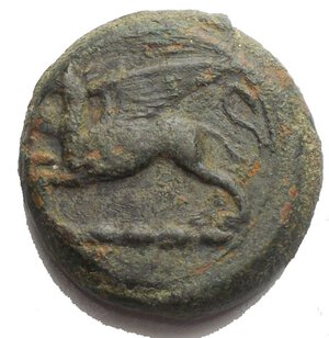 obverse: Sicily. Kainon. AE 21,55 mm. Ca 365 BC. Obv. Griffin springing left; below, exergual line. Rev. Horse prancing left, trailing rein SNG ANS 1173 (Alaesa). AE. g 10,7.  VF - EF. Green patina