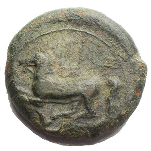 reverse: Sicily. Kainon. AE 21,55 mm. Ca 365 BC. Obv. Griffin springing left; below, exergual line. Rev. Horse prancing left, trailing rein SNG ANS 1173 (Alaesa). AE. g 10,7.  VF - EF. Green patina