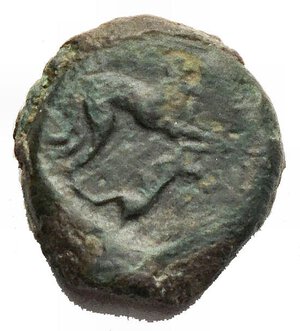 reverse: Segesta. Uncia circa 430-409, Æ 3.18 g. Head of youth r. Rev. ΣEΓΕ – ΣΤΑ Hound standing over hare, looking back; pellet before. SNG ANS –. Calciati –, cf. 13 (Eryx). Rare. aVF. Green patina