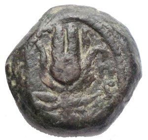 reverse: PTOLEMAIC KINGS of EGYPT. Ptolemy Apion. King of Kyrenaika, c. 104/1–96 BC. Æ Chalkous (9,15 mm; 2,48 g). Kyrene mint. Diademed head of Zeus-Ammon right / Headdress of Isis. Svoronos 1845 (Ptolemy XIII–Alexandreia); Weiser –; SNG Copenhagen 685-90 (Uncertain mint in Cyprus); Noeske 392-4 (Indeterminate mint in Cyprus or Alexandria); Asolati 113. VF, brown green patina. Rare.