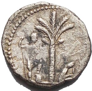 obverse: Vespasian. AD 69-79. AR Denarius (17,2 mm. 2,95 g). “Judaea Capta” commemorative. Antioch mint. Struck AD 72-73. Laureate head right / Palm tree; to left, Vespasian standing right, holding spear and parazonium, foot on helmet; to right, Jewess, in attitude of mourning, seated right. RIC II 1558; RSC 645. aVF.